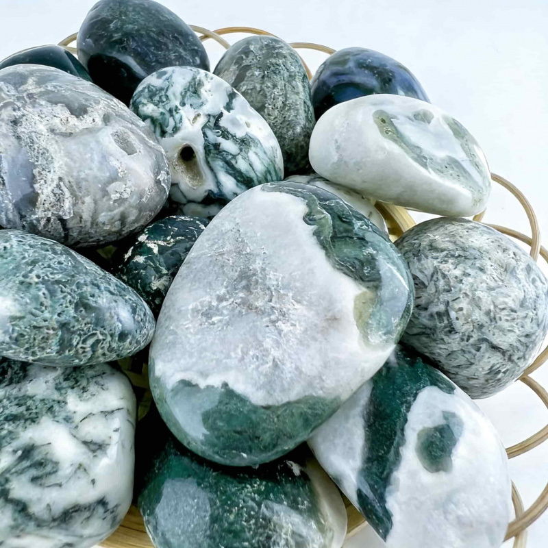 Natural Moss Agate Crushed Sto - Echeveria Succulent 评论和价格