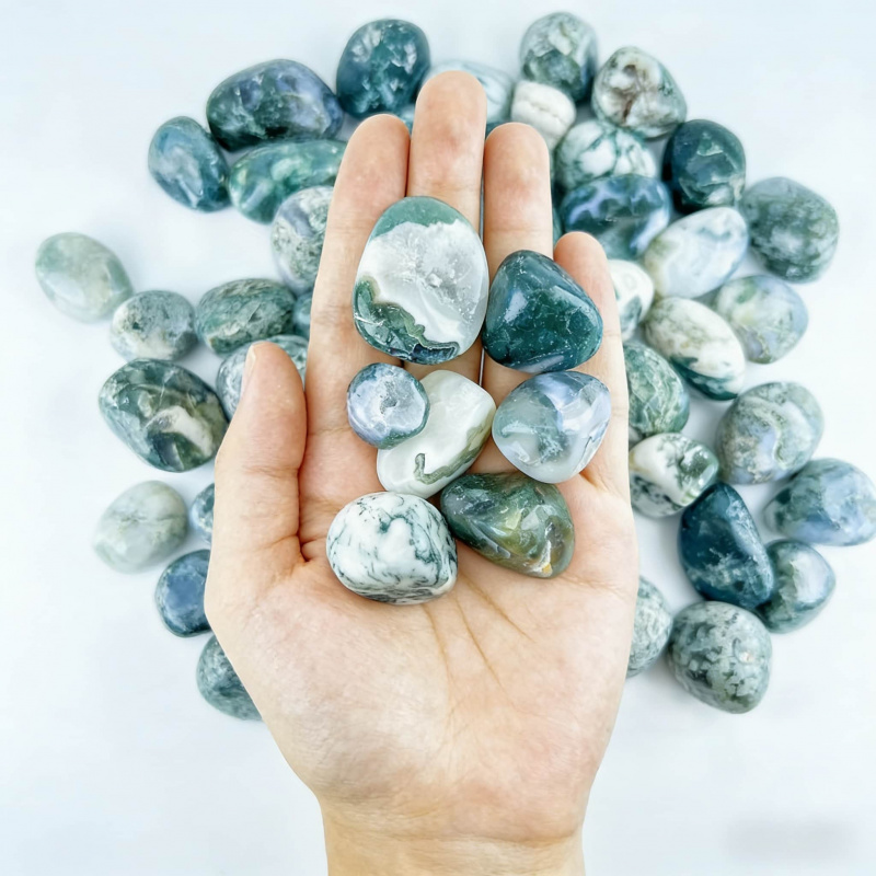 Natural Moss Agate Crushed Sto - Echeveria Succulent 评论和价格