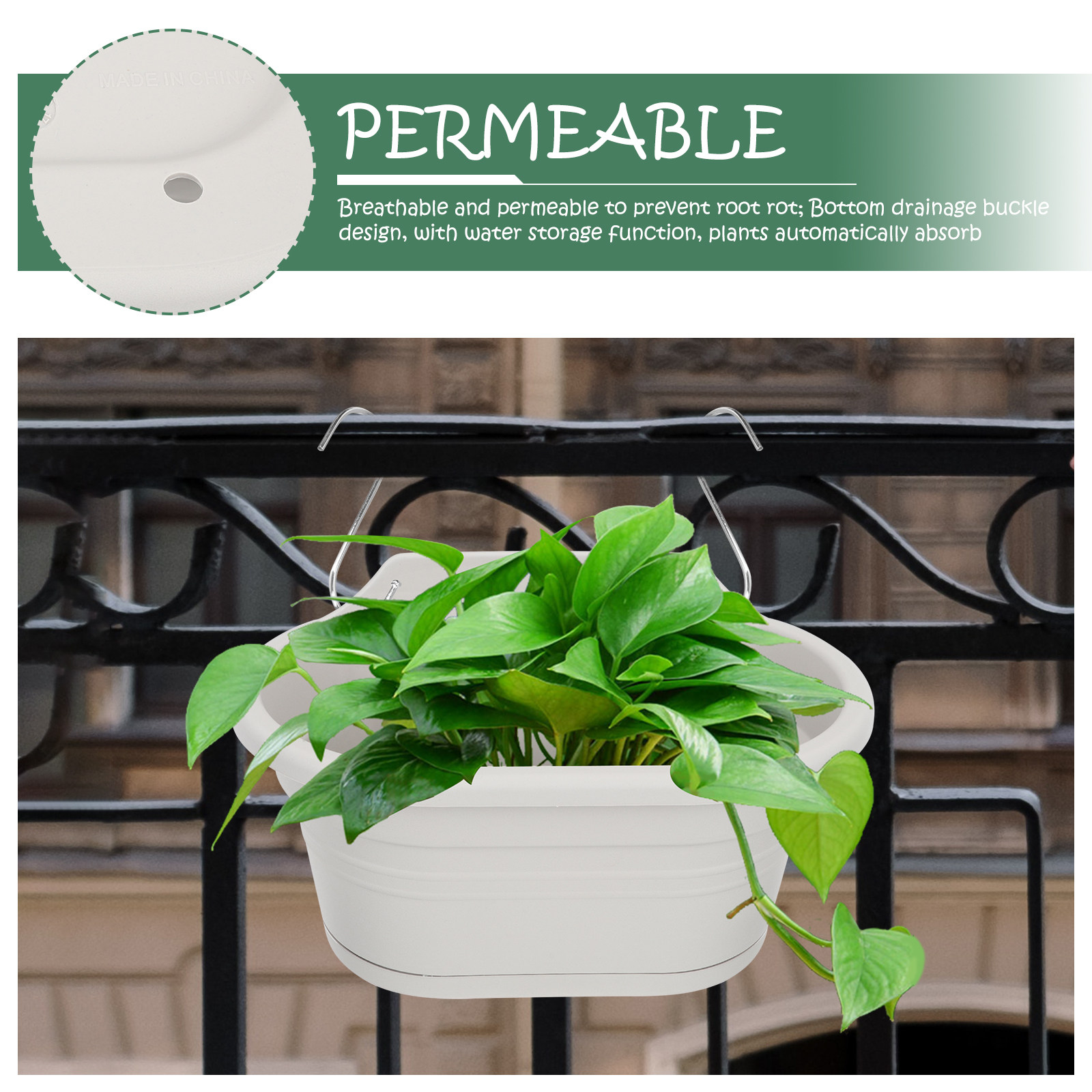 1Set Wall Hanging Flower Pot S - Spider Plant Hanging 评论和价格