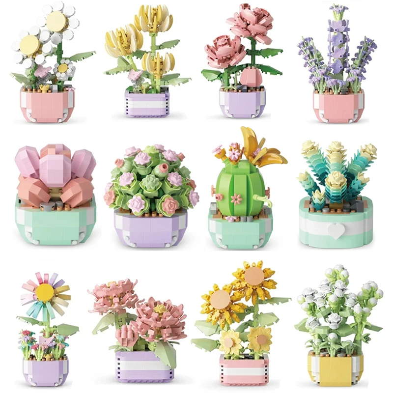 Flower Succulents Building Blo - Echeveria Succulent 评论和价格