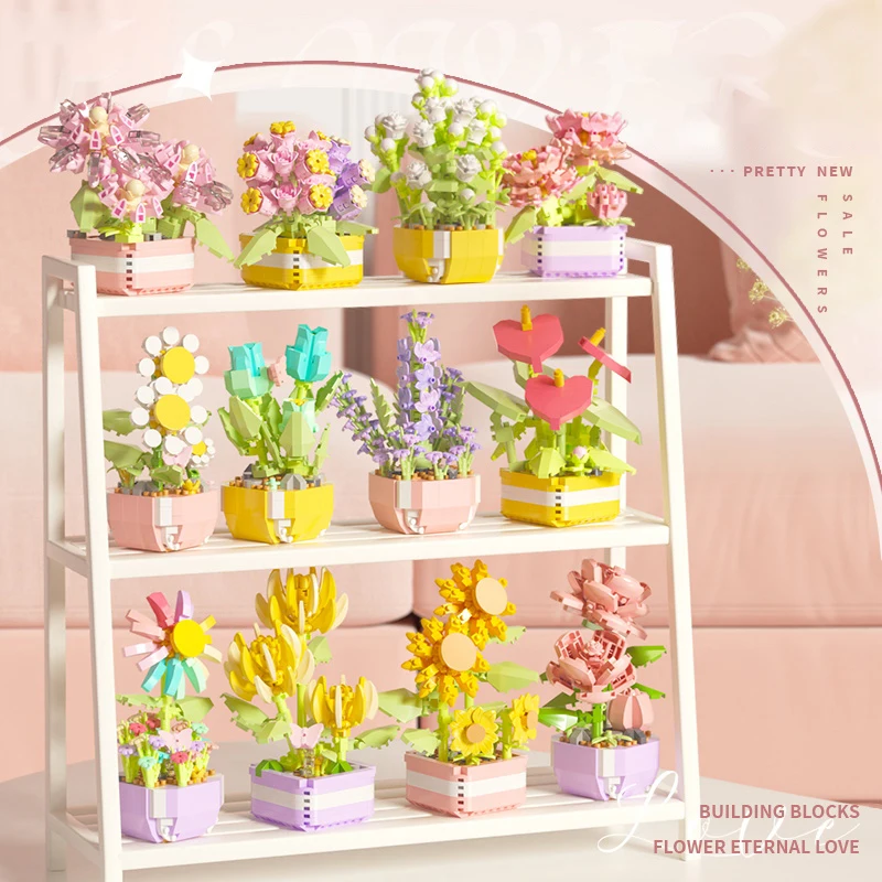 Flower Succulents Building Blo - Echeveria Succulent 评论和价格