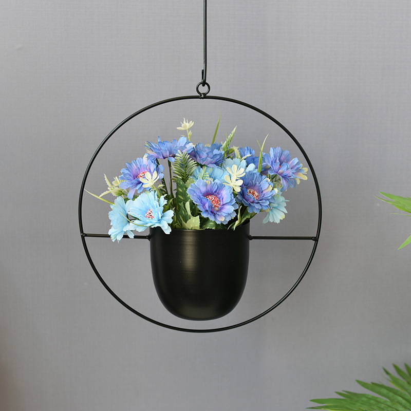 Wrought Iron Hanging Planter E - Spider Plant Hanging 评论和价格