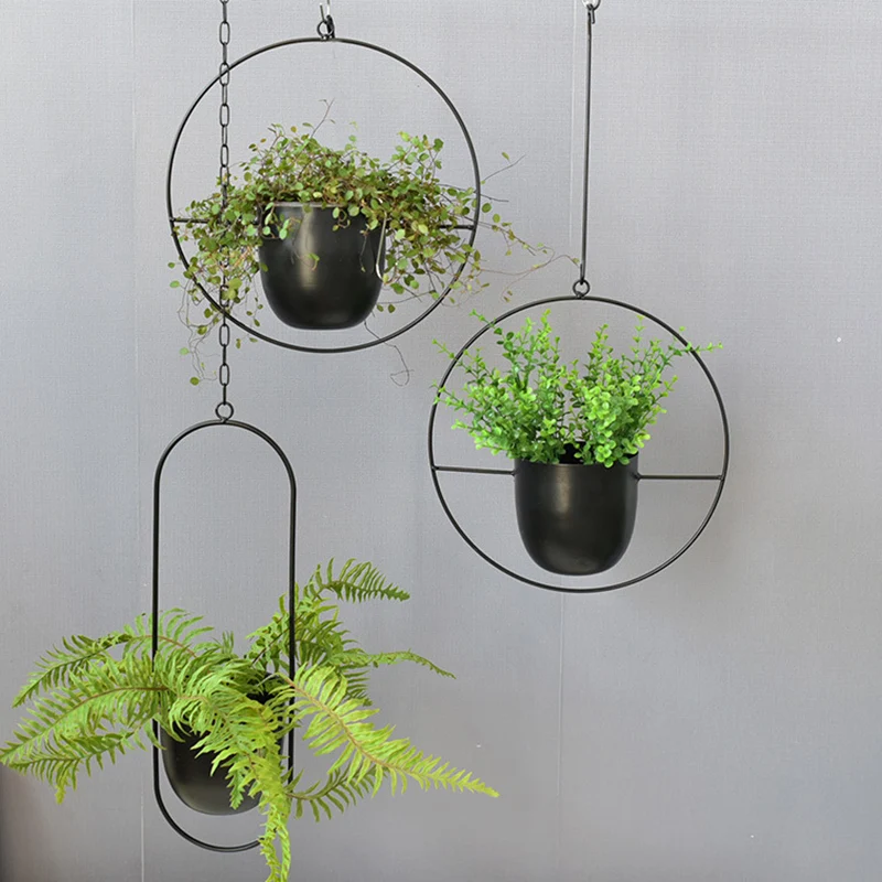 Wrought Iron Hanging Planter E - Spider Plant Hanging 评论和价格