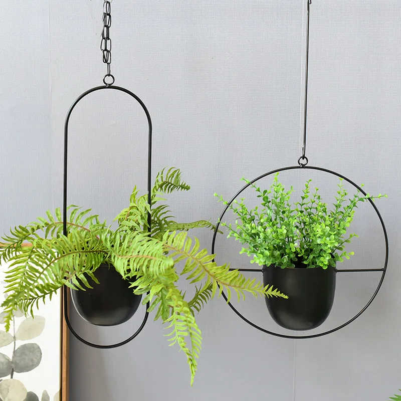 Wrought Iron Hanging Planter E - Spider Plant Hanging 评论和价格
