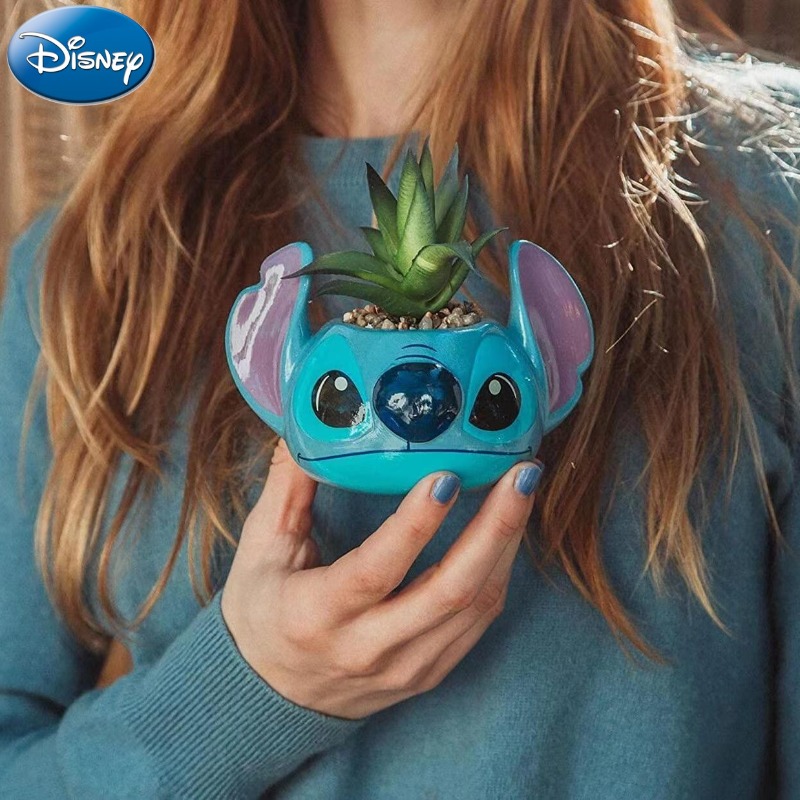 Disney Stitch Decorations Cute - Echeveria Succulent 评论和价格
