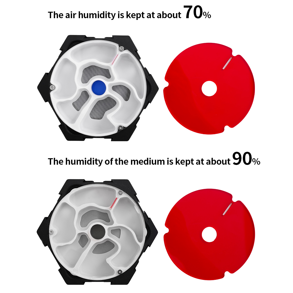 3D Printing Ant Farm Infinitel - Begonia Rex 评论和价格