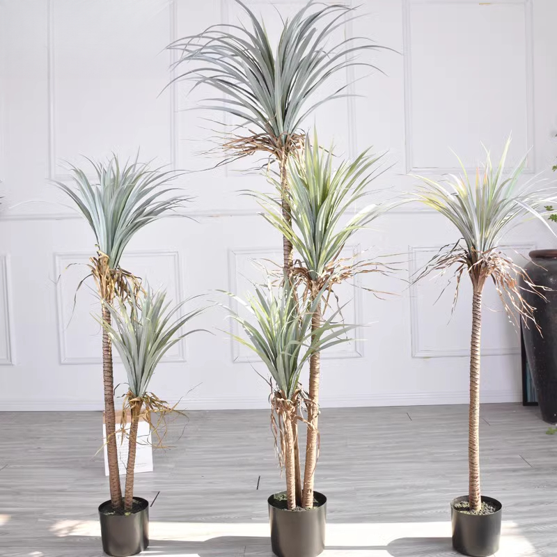Dragon Blood Yucca Artificial  - Dracaena Marginata 评论和价格