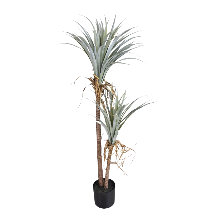 Dragon Blood Yucca Artificial  - Dracaena Marginata 评论和价格