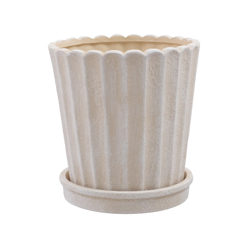 8 Inch Shell Planter Cream Cer - Aloe Vera Pot 评论和价格