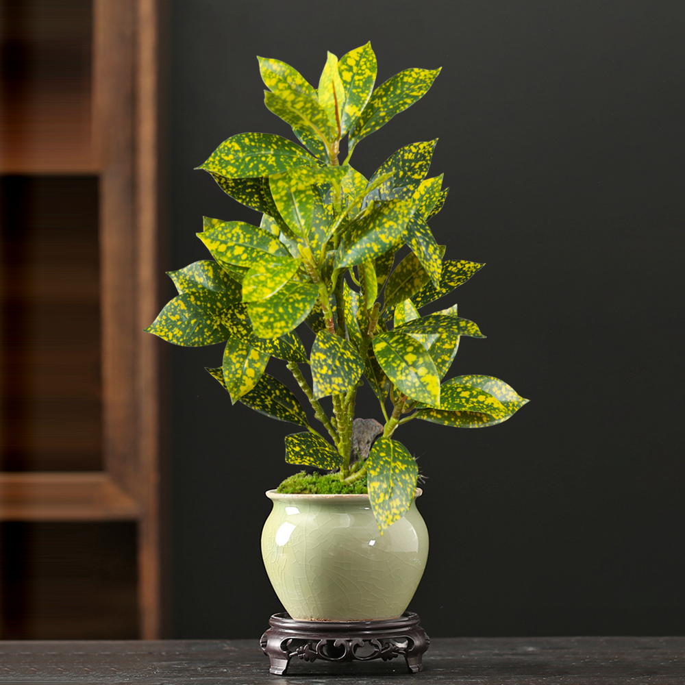 24-41cm Artificial Ficus Tree  - Ficus Lyrata Tree 评论和价格