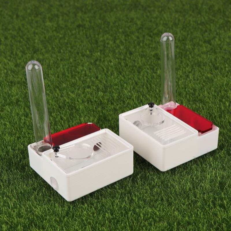 【Peace】3D Printed Ant Farm Que - Begonia Rex 评论和价格