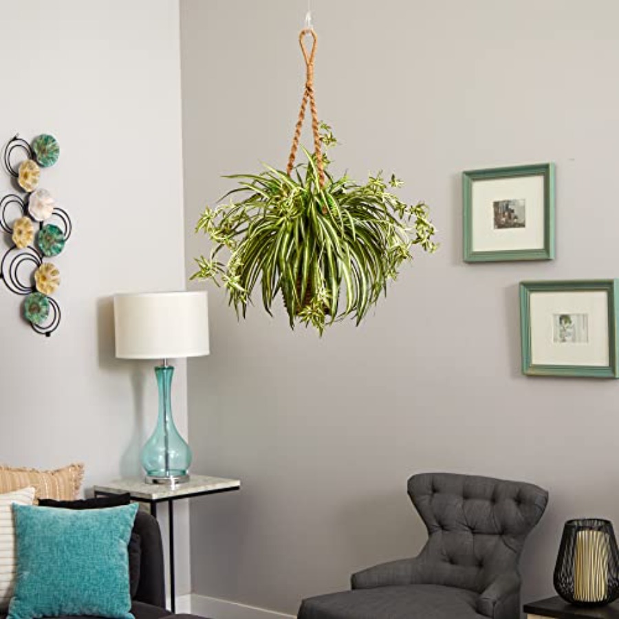 Spider Plant Hanging Basket - Spider Plant Hanging 评论和价格