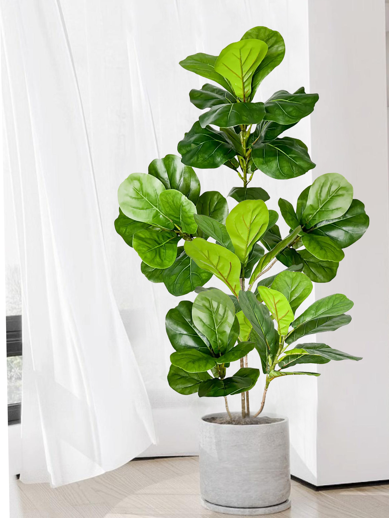 70-135cm Large Artificial Ficu - Dracaena Marginata 评论和价格