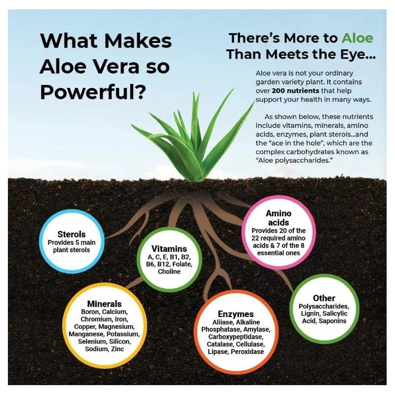Aloe Vera Capsules - Help Prom - Aloe Vera Pot 评论和价格