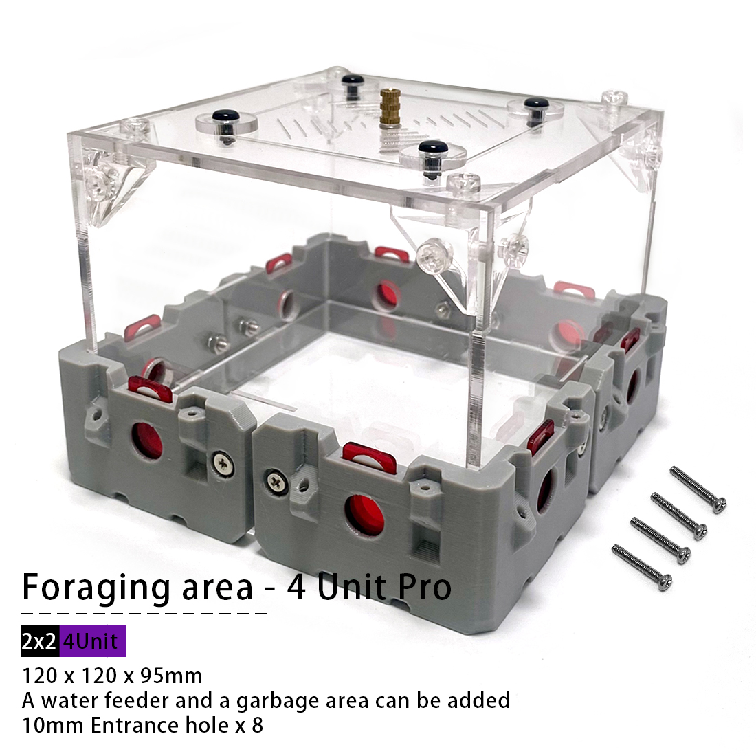 【Lego】Expandable Modular Formi - Begonia Rex 评论和价格