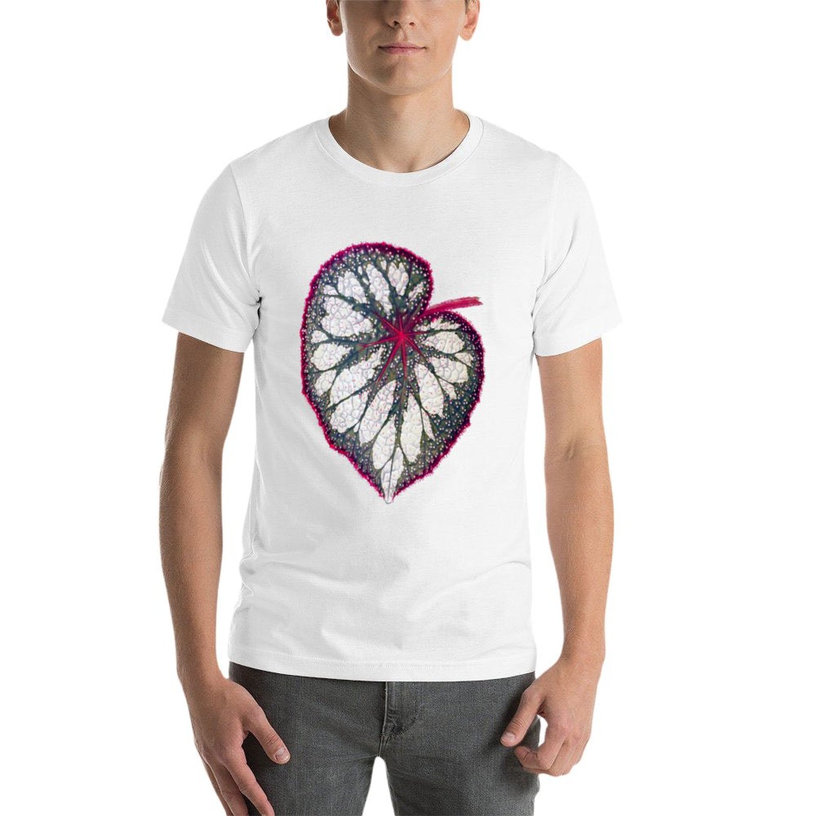 Begonia rex T-Shirt man graphi - Begonia Rex 评论和价格