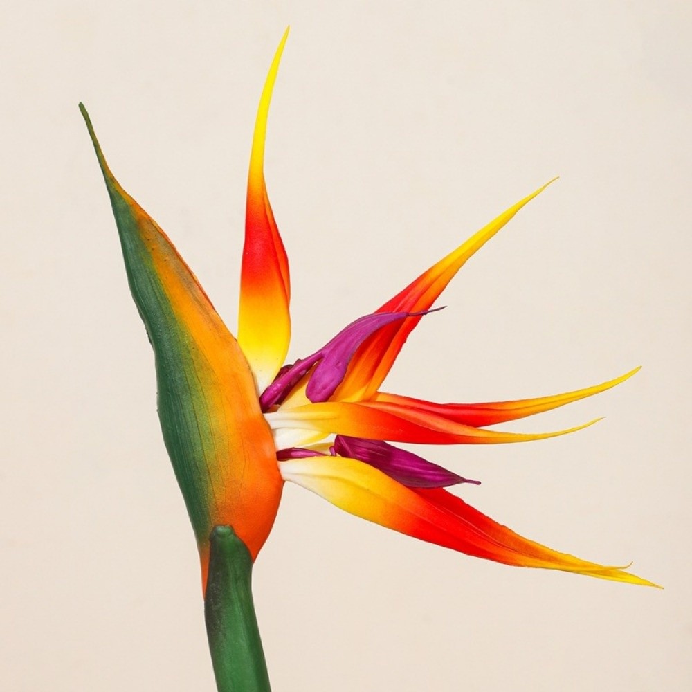 Long Stem Artificial Bird of P - Bird Paradise Strelitzia 评论和价格