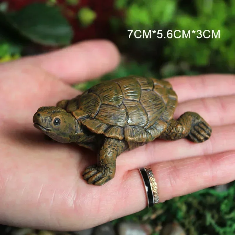 Simulation of Small Turtle Res - Echeveria Succulent 评论和价格