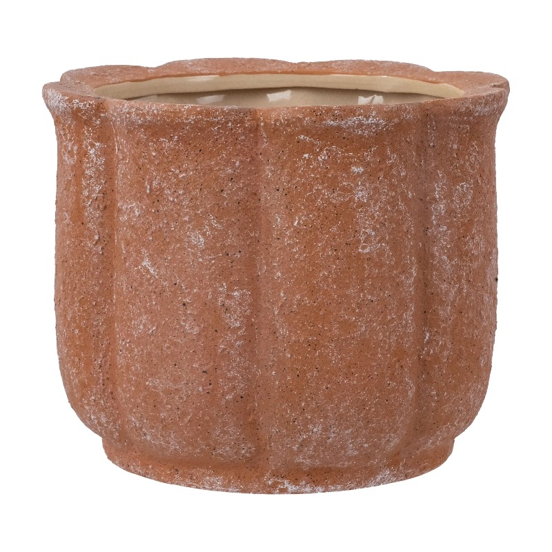 8in Terracotta Flower Planter  - Aloe Vera Pot 评论和价格