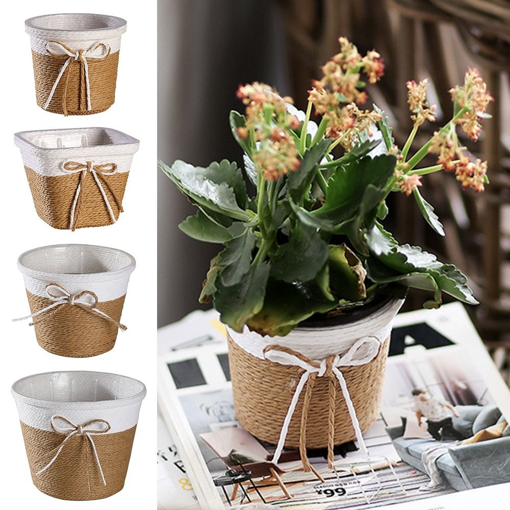Paper Rope Braided Braided Flo - Aloe Vera Pot 评论和价格