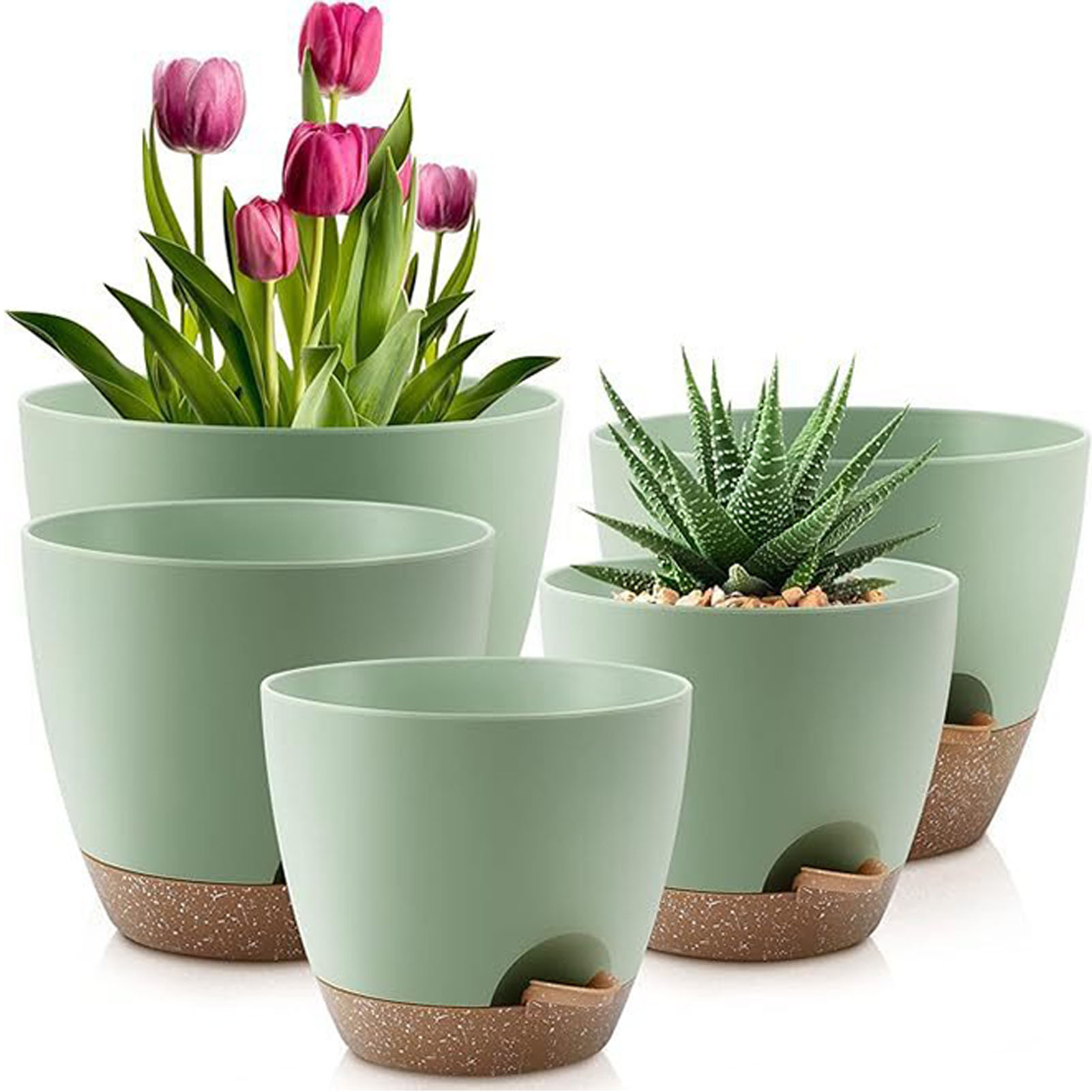 5piece Indoor Flower Pots With - Aloe Vera Pot 评论和价格