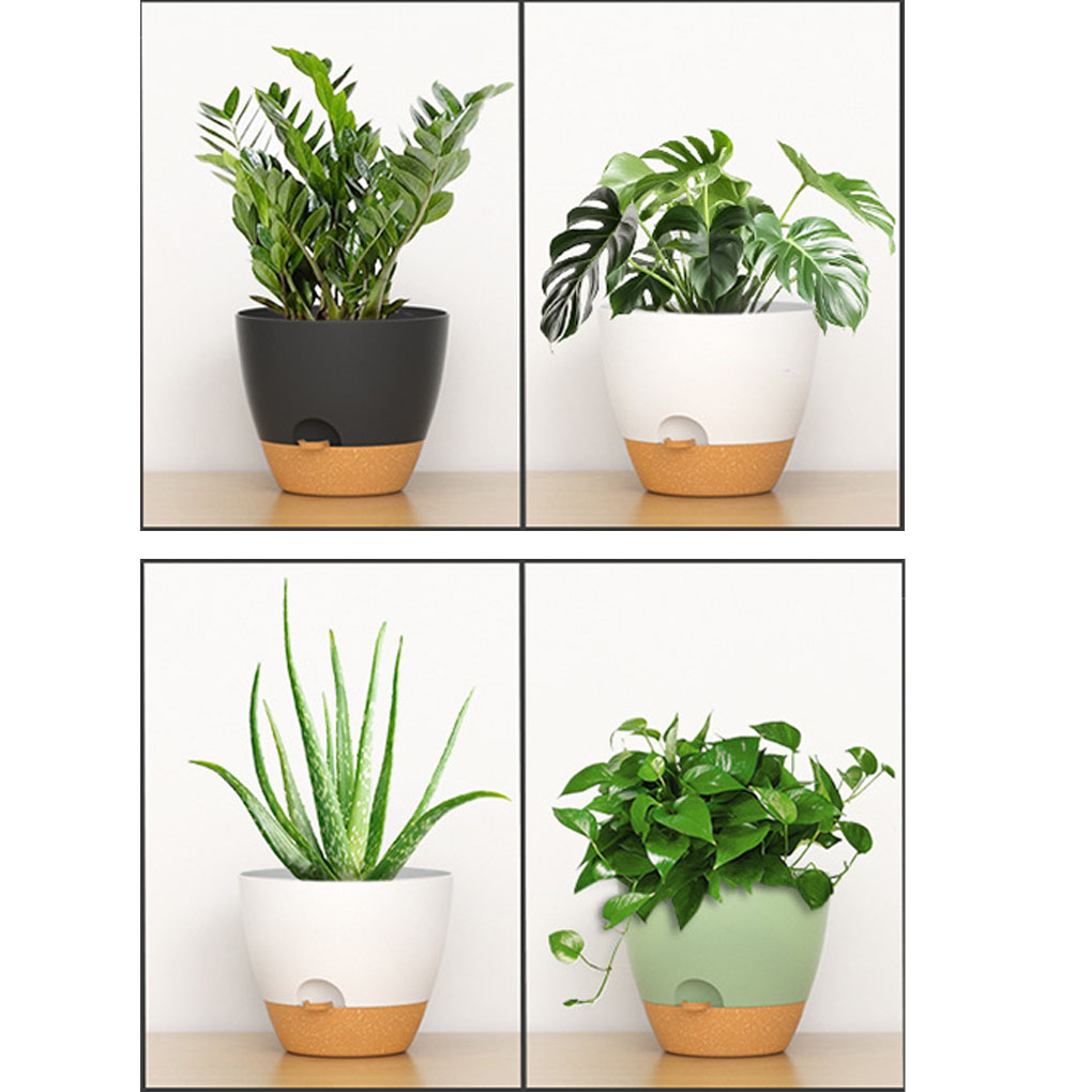 5piece Indoor Flower Pots With - Aloe Vera Pot 评论和价格