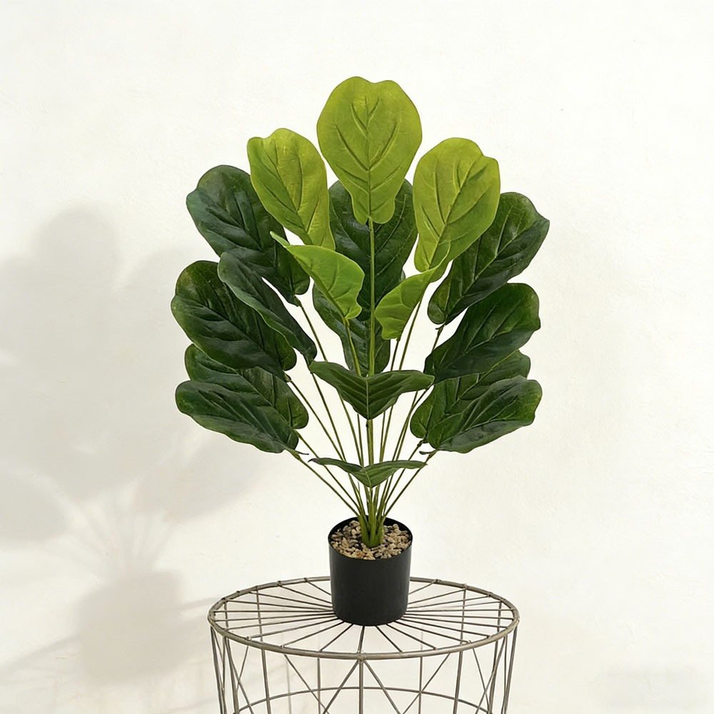 1pc of 75cm Artificial Ficus L - Ficus Lyrata Tree 评论和价格