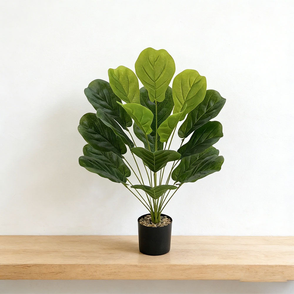 1pc of 75cm Artificial Ficus L - Ficus Lyrata Tree 评论和价格