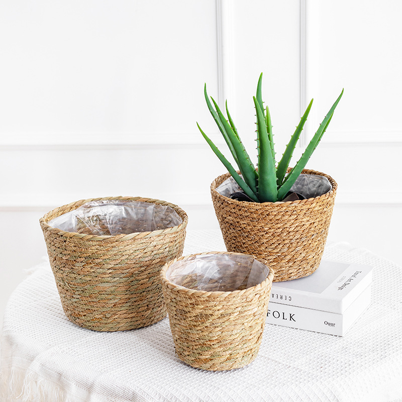 Natural Woven Flower Basket St - Aloe Vera Pot 评论和价格