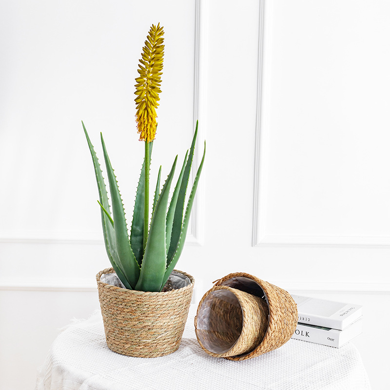 Natural Woven Flower Basket St - Aloe Vera Pot 评论和价格