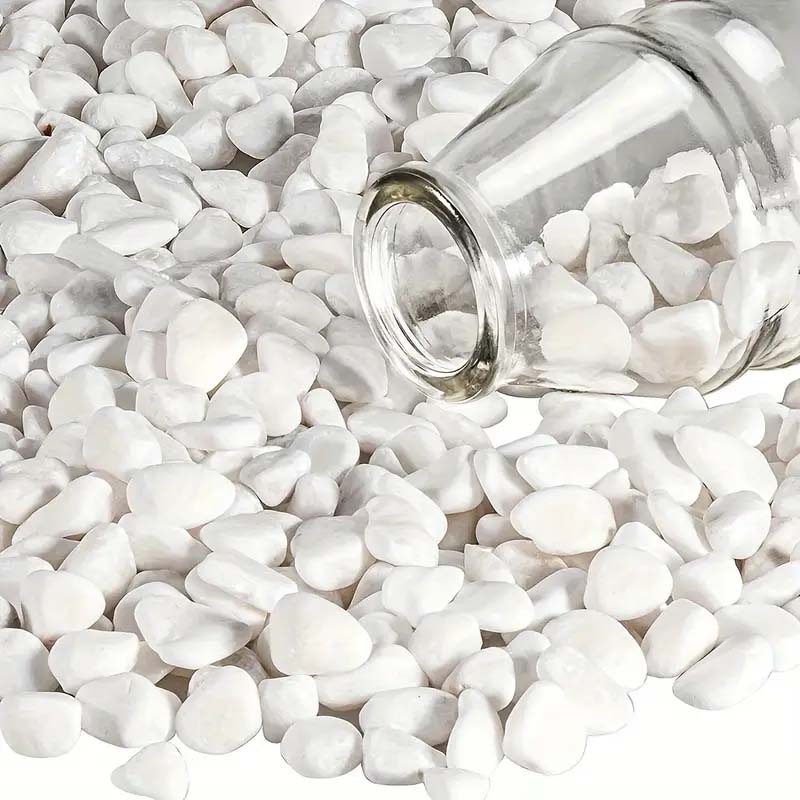 White Pebbles Decorative Stone - Echeveria Succulent 评论和价格