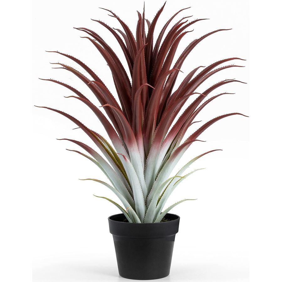 Hyper Realistic Big Red Artifi - Aloe Vera Pot 评论和价格