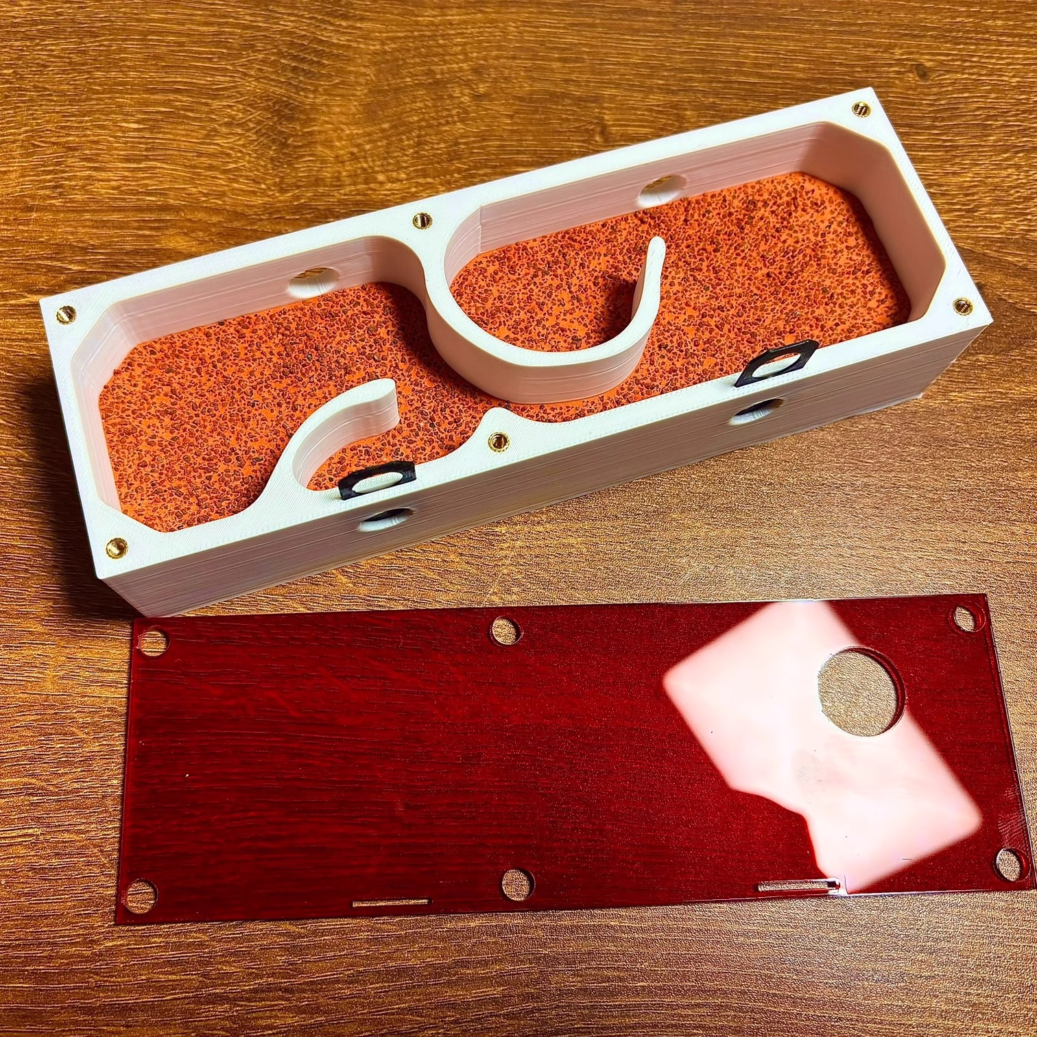 Ant Farm mini CC with External - Begonia Rex 评论和价格