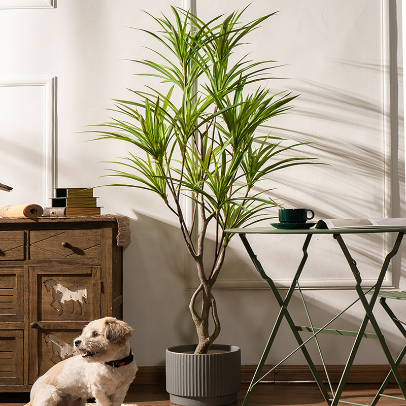 90-180cm Large Artificial Tree - Dracaena Marginata 评论和价格