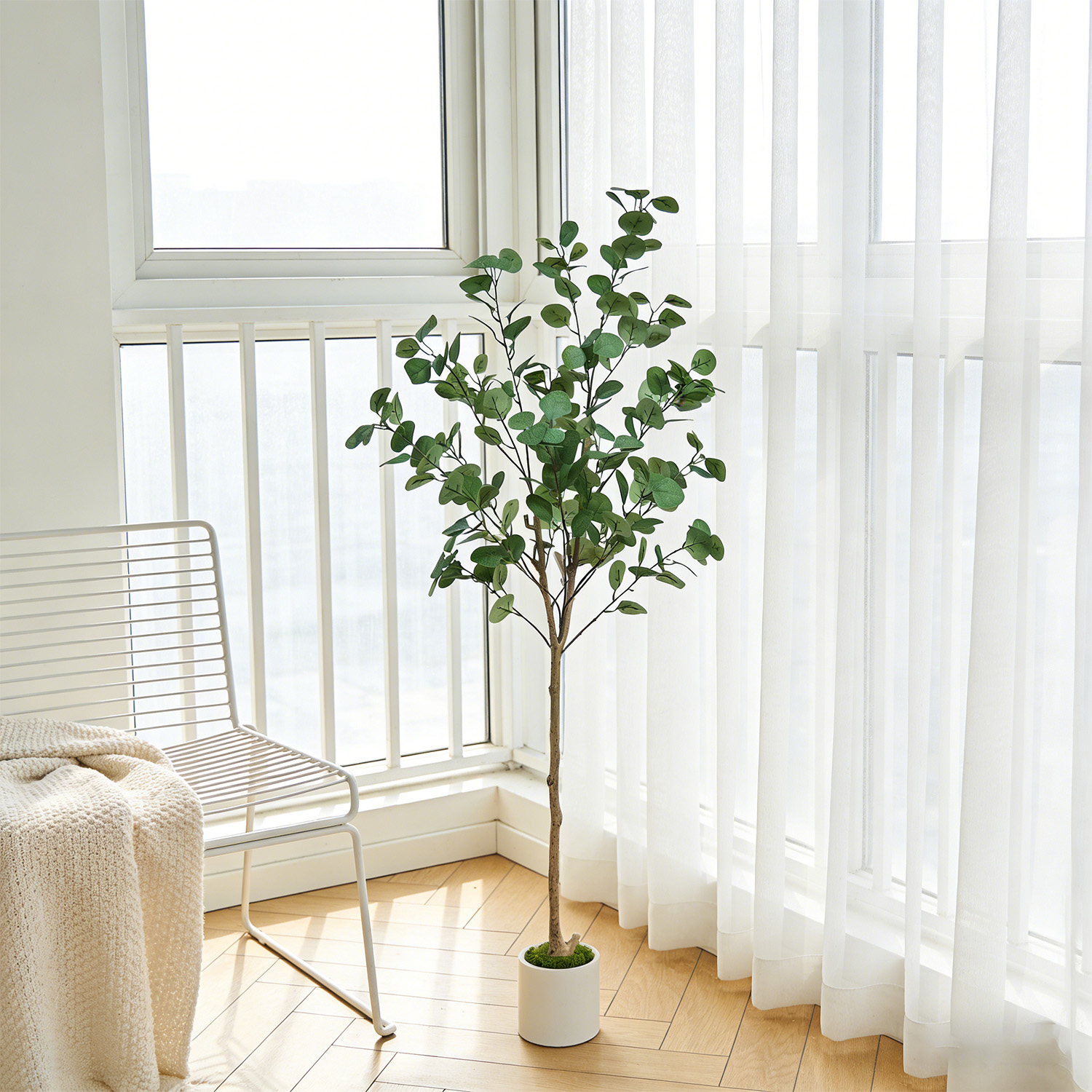 120-155Cm/5.1Ft Artificial Euc - Dracaena Marginata 评论和价格