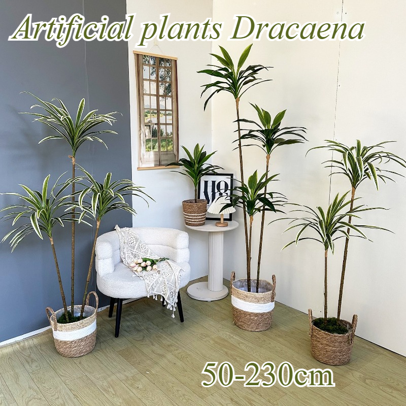 Artificial Dracaena Fake Plant - Dracaena Marginata 评论和价格