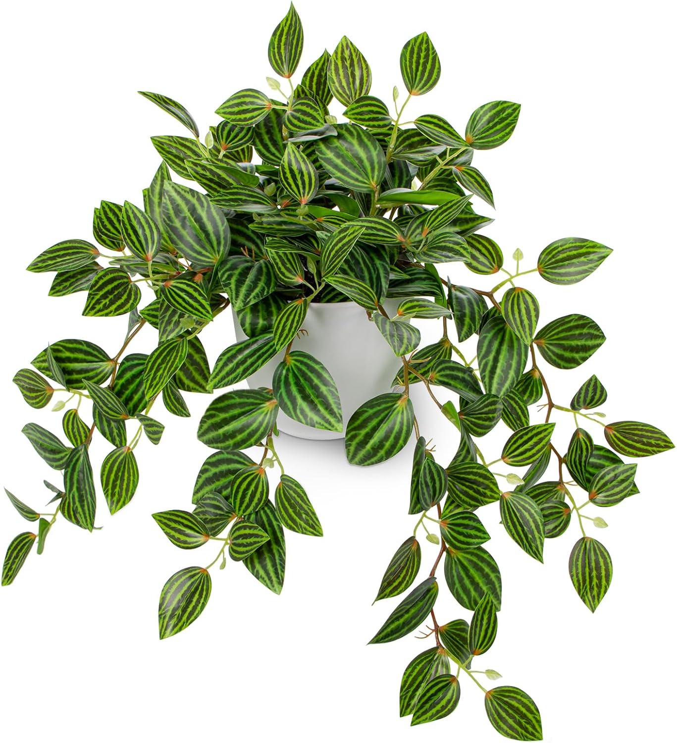 Artificial Plants Indoor Fake  - Peperomia Watermelon 评论和价格
