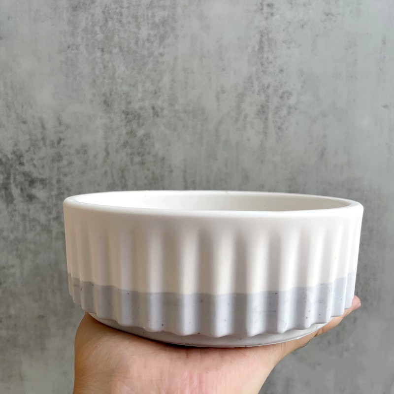 Stripe Flowerpot Silicone Mold - Echeveria Succulent 评论和价格