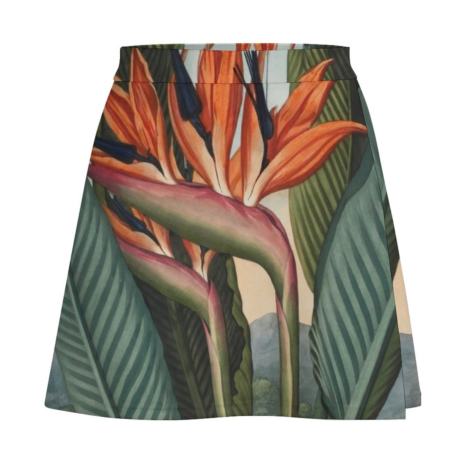 Botanical illustration: Bird o - Bird Paradise Strelitzia 评论和价格