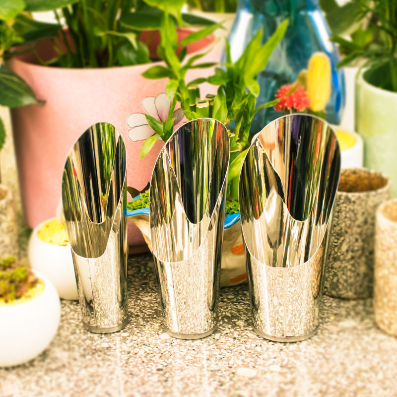 Stainless Steel Bucket Shovel  - Echeveria Succulent 评论和价格