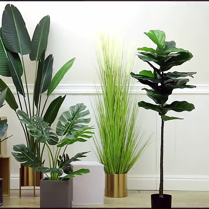 Simulation Palm Tree Artificia - Ficus Lyrata Tree 评论和价格