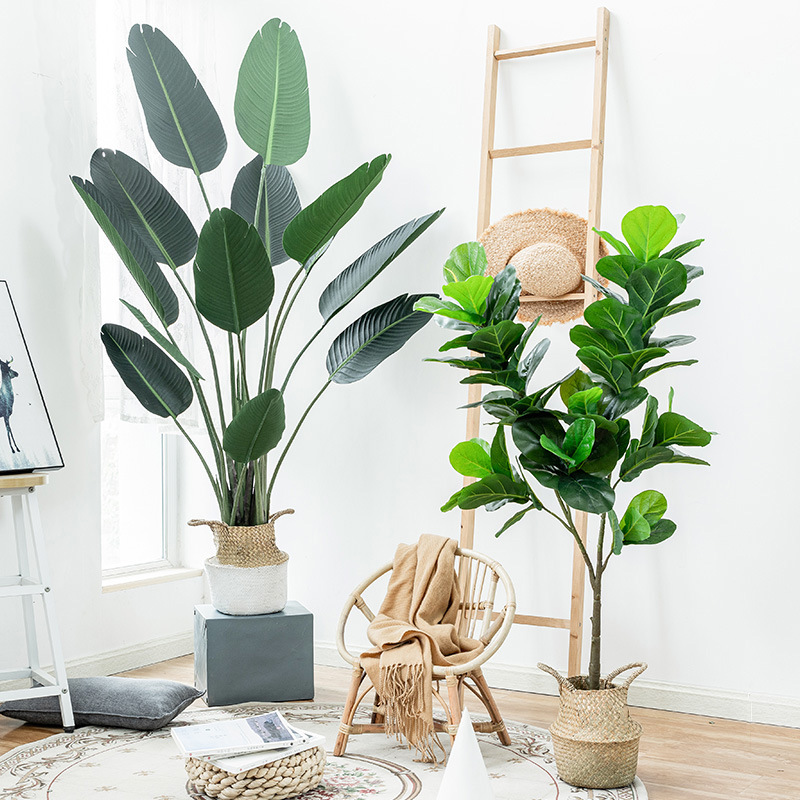 Simulation Palm Tree Artificia - Ficus Lyrata Tree 评论和价格