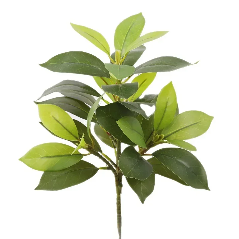 Plastic Artificial Color-chang - Dracaena Marginata 评论和价格