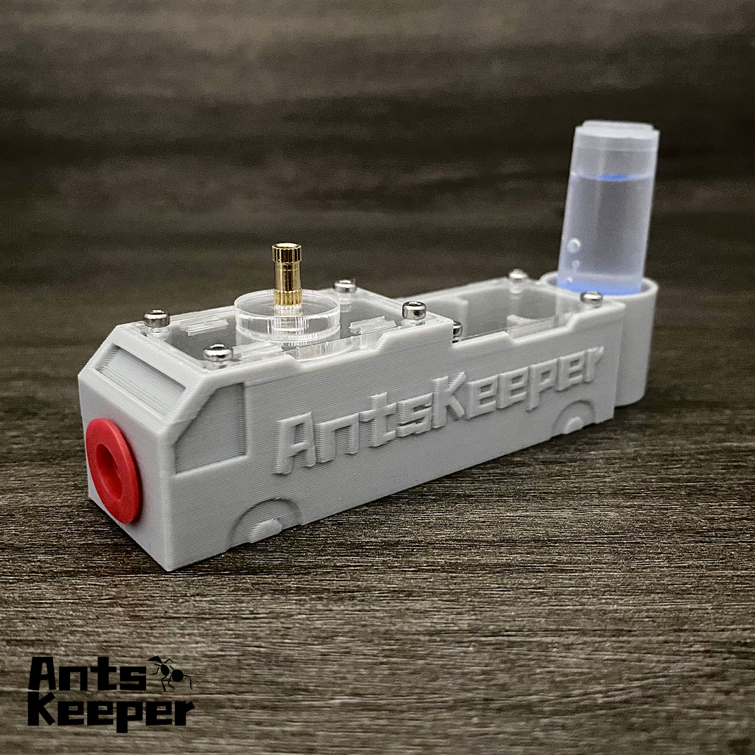 【Truck】Ant Farm for Ants keepe - Begonia Rex 评论和价格