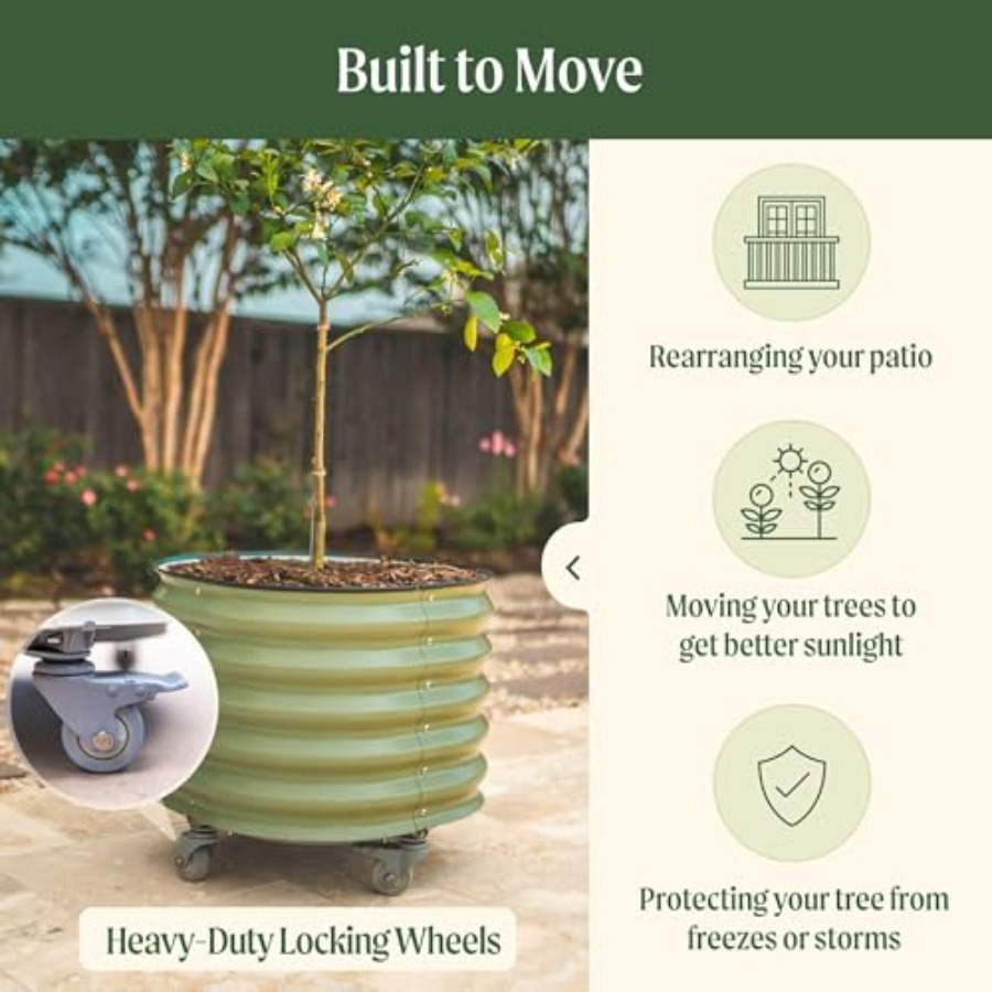 Self-Watering Rolling Metal Ci - Aloe Vera Pot 评论和价格